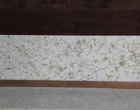 ˮ���Ұ�ϵ��